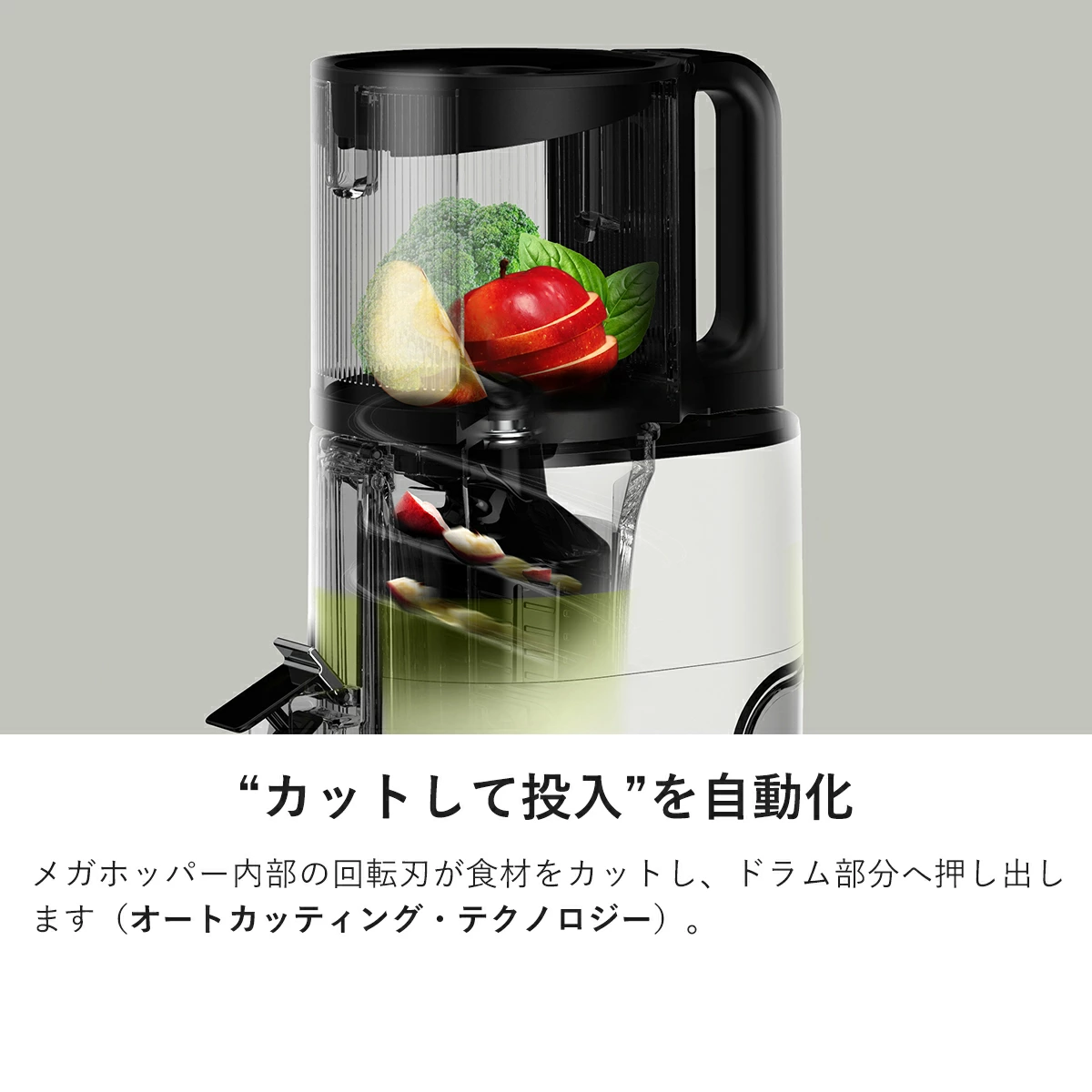 ヒューロム コールドプレスジューサー H400 (4)