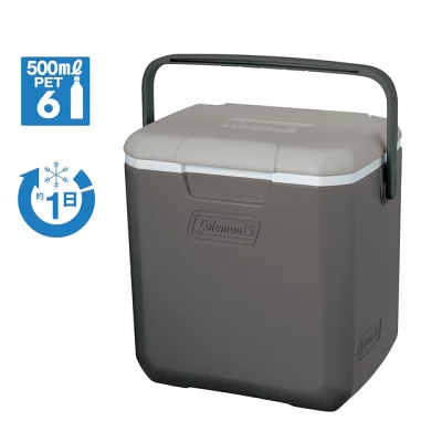 2026年 新商品 【アルペン限定】 コールマン テイク9(ライトグレー) 2251353 キャンプ ハードクーラー Coleman