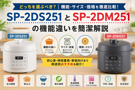 sp 2ds251 sp 2dm251 違い